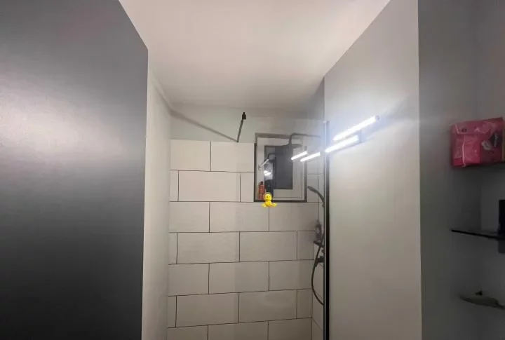 Baba Novac, Dristor, Parc IOR, Campia Libertatii.